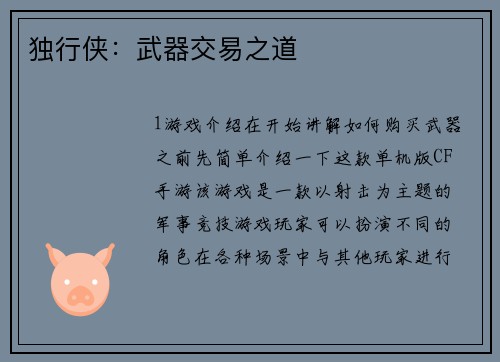 独行侠：武器交易之道